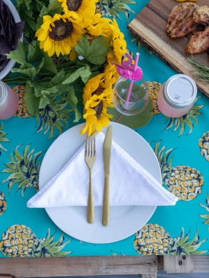 Place settings for a picnic