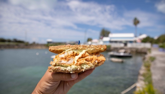 A person is holding a fish sandwich by the water. 