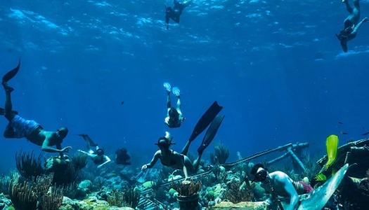 A group of people snorkeling near a sunken ship