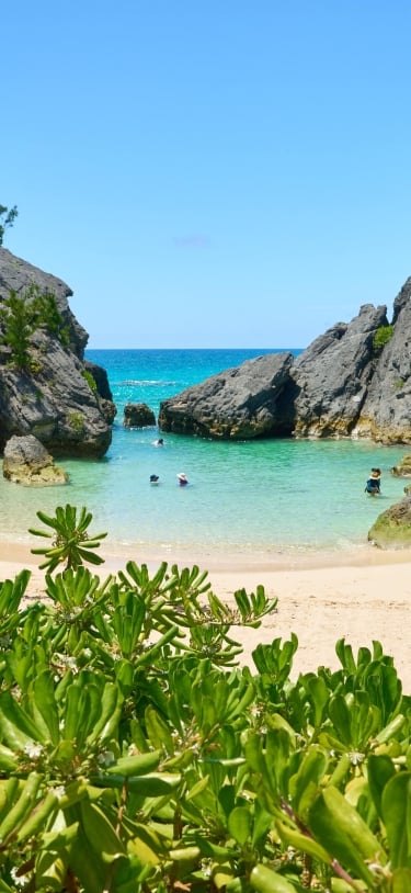 Jobson's Cove – Jobson's Cove