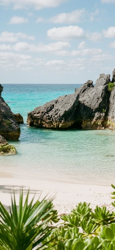 Jobson's Cove – Jobson's Cove