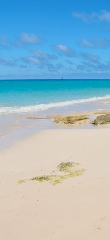 West Whale Bay Park – West Whale Bay