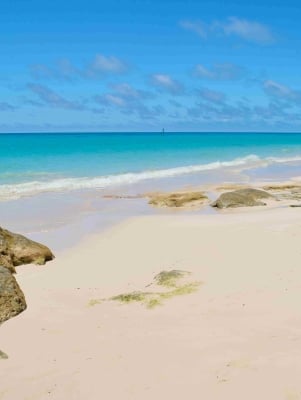 Pink like cotton candy & just as sweet! Check out Bermuda's Pink Sand  Beaches.