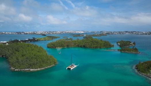 Bermuda river online