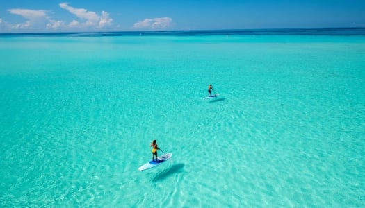 two people paddleboarding with clear waters.