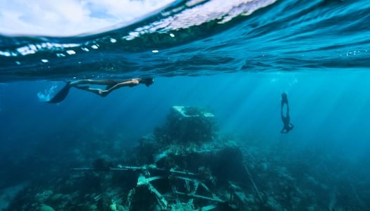 Two people are snorkelling.