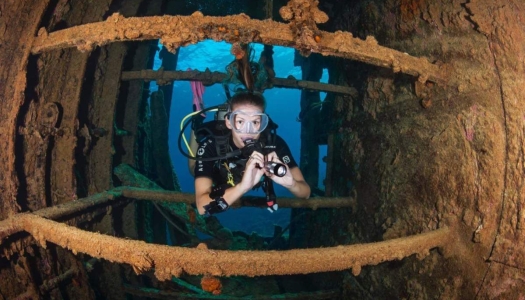 Dive Bermuda at Grotto Bay – Wreck Pen