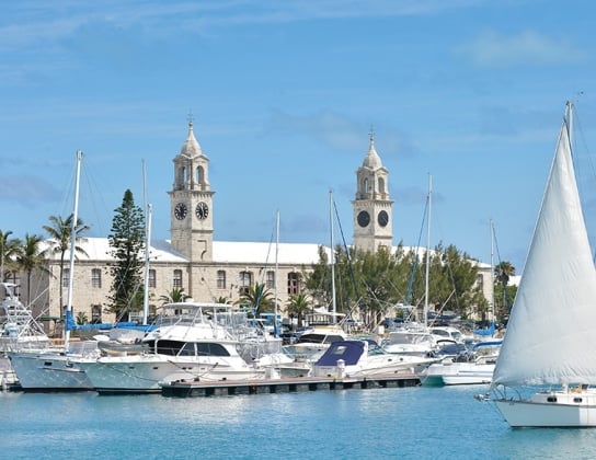 dockyard filled with boats