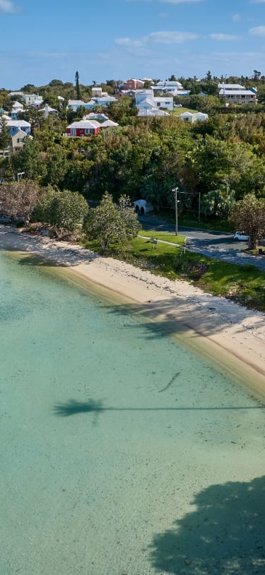 Mangrove Bay – Mangrove Bay 4
