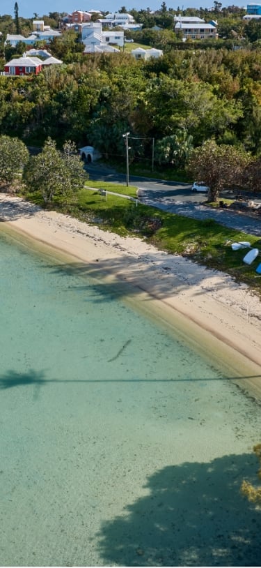Mangrove Bay – Mangrove Bay