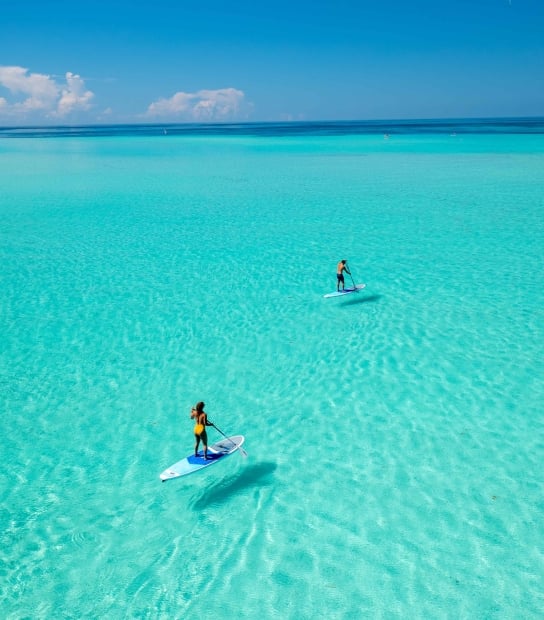 two people paddleboarding with clear waters.