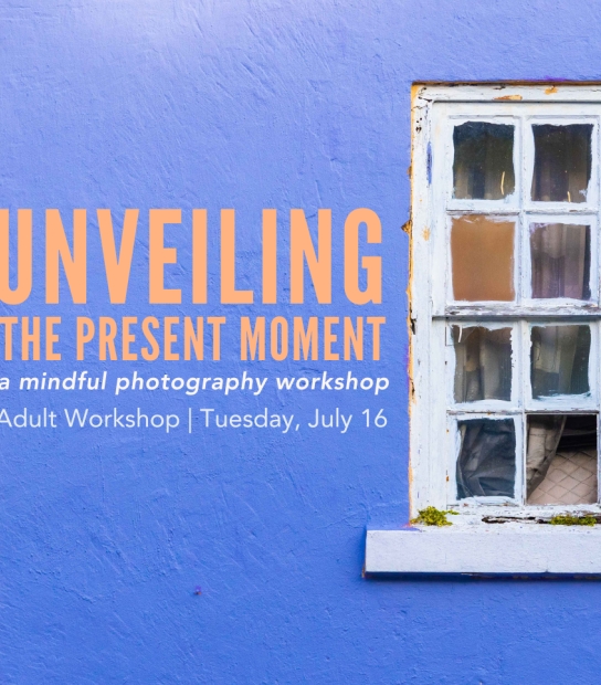 Unveiling The Present Moment: Adult Workshop In Mindful Photography