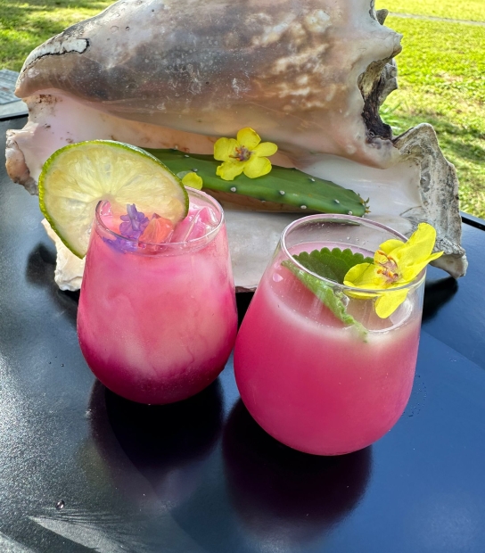 The Art Of Wild Mixology: Discover Our Wild Mocktail Event