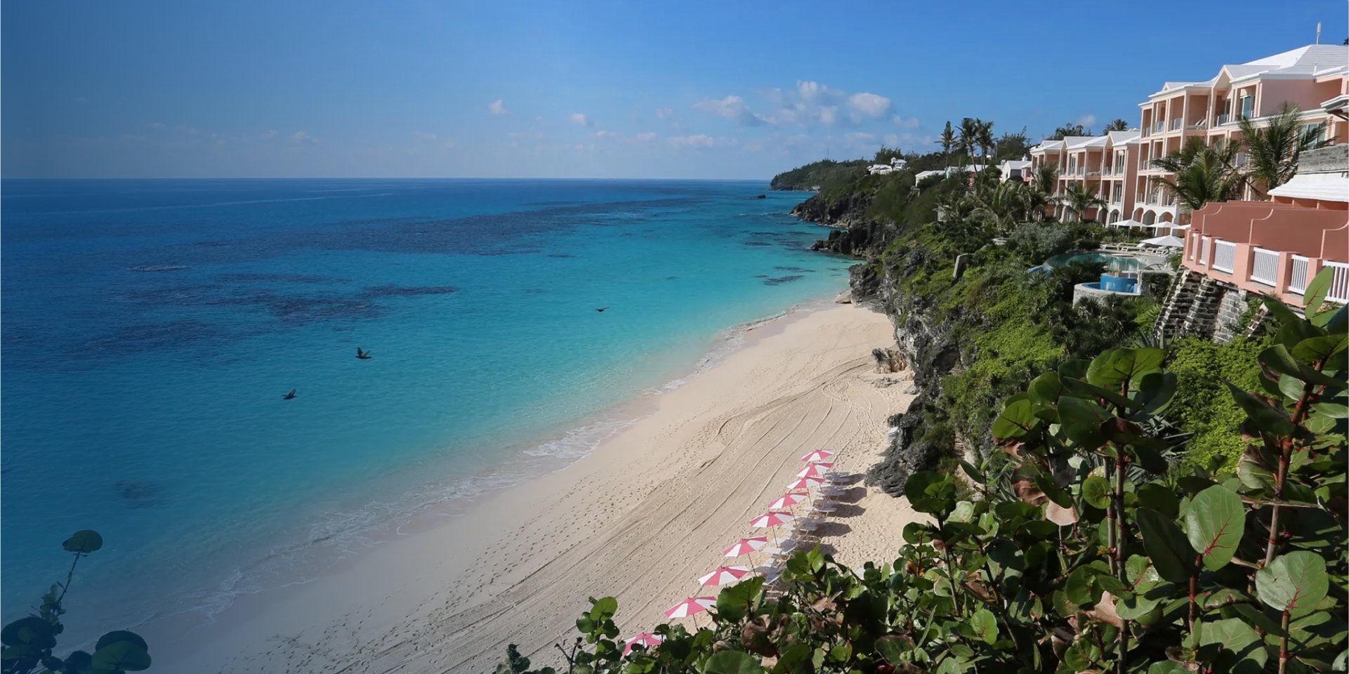 Why Bermuda Has Pink Sand