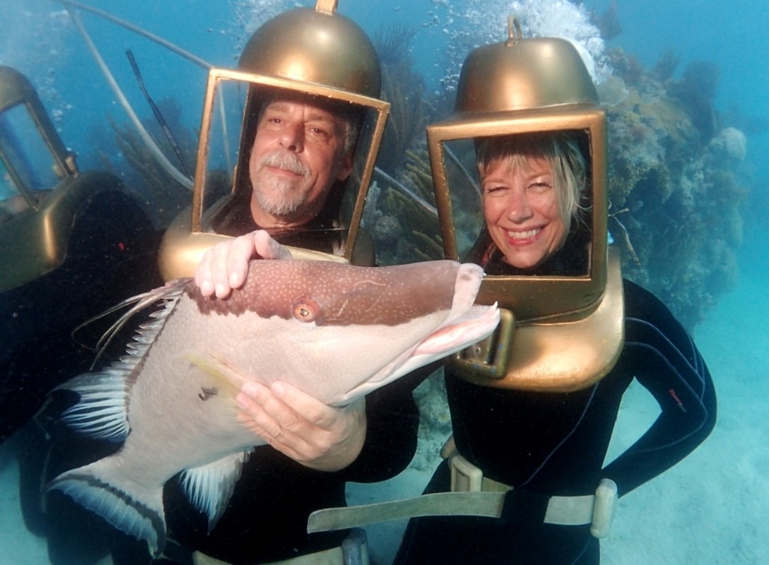 hartley's undersea walk